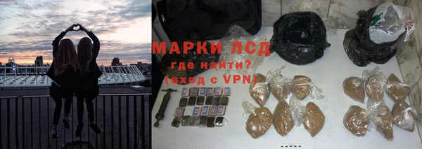 apvp Бородино