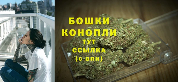 apvp Бородино