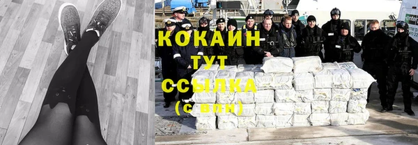 apvp Бородино