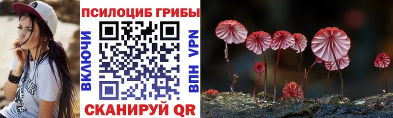 купить закладку  Великие Луки  Псилоцибиновые грибы GOLDEN TEACHER 