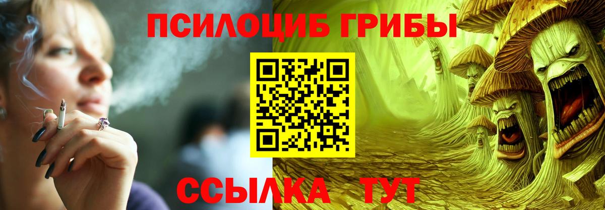 Псилоцибиновые грибы ЛСД Великие Луки